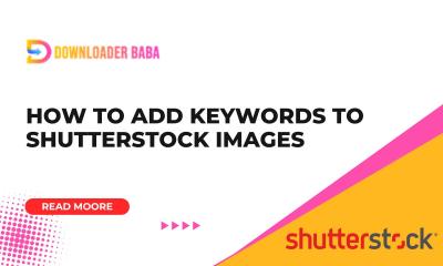 How to Add Keywords to Shutterstock Images