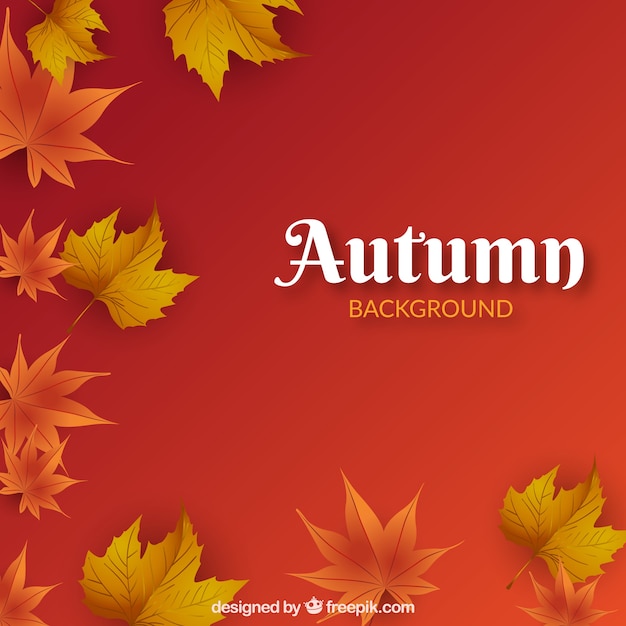 Realistic Autumn Background with Leaves – Free Download