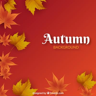 Realistic Autumn Background with Leaves – Free Download