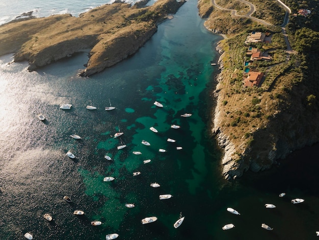 Many Boats Traveling – Free Download Stock Photo