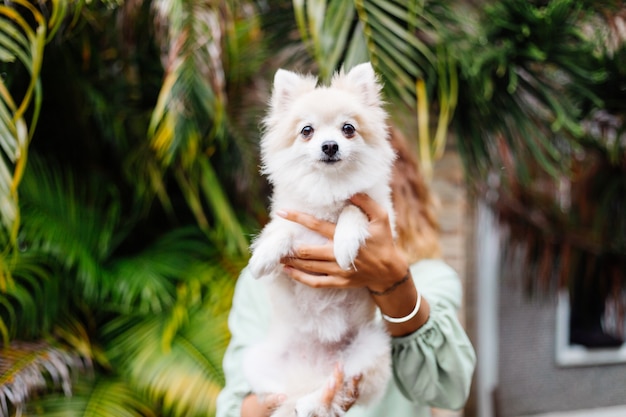 Outdoor Portrait of a Tanned European Woman with Her Happy Pomeranian Dog – Free Download