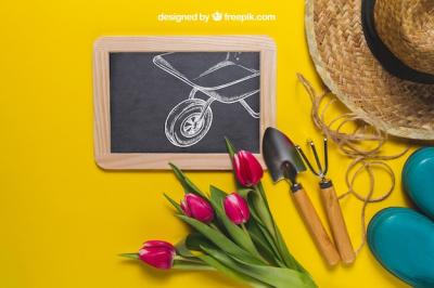 Gardening Concept Free Stock Photo – Download for Free