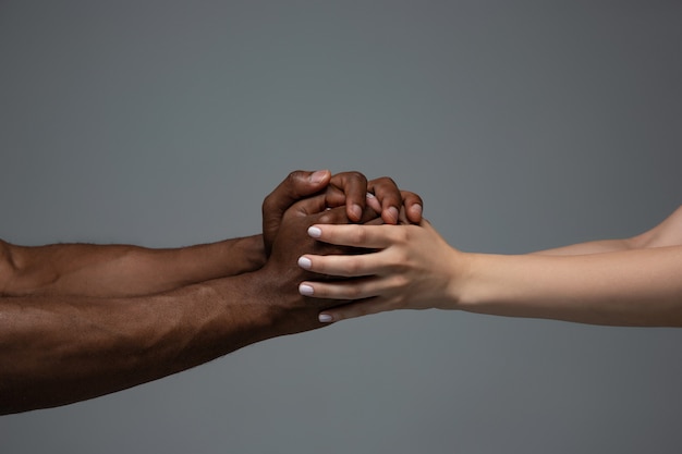 Racial Tolerance and Social Unity: African and Caucasian Hands Gesturing Isolated on Gray – Free Download