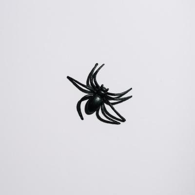 Black Spider in the Center – Free to Download