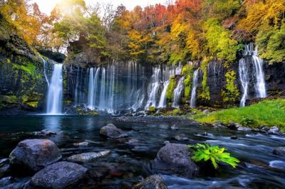 Shiraito Waterfall in Autumn, Japan – Free Stock Photo, Download for Free