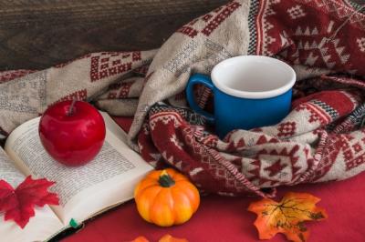 Artificial Fruits on Book Next to Blanket and Mug – Free Download