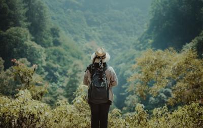 Woman on a Hill Overlooking Jungle – Free Stock Photo, Download for Free