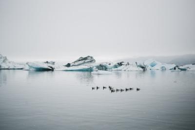 Glacier Reflections: Tourist Enjoying a Stunning View in Iceland – Free Stock Photo, Download for Free