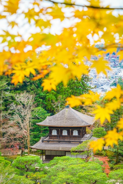 Ginkakuji Temple in Kyoto, Japan – Free to Download Stock Photo