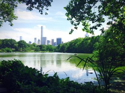 City Skyline Reflected in River – Free Stock Photo for Download