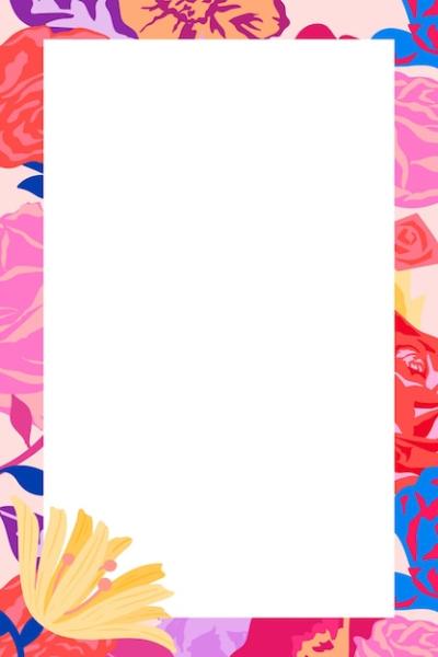 Feminine Floral Rectangle Frame with Pink Roses on White Background – Free Stock Photo Download