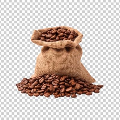 Brown Coffee Beans in a Burlap Bag on a White Background – Free Stock Photo Download