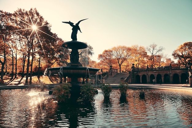 Autumn in Central Park with Angel Fountain in Midtown Manhattan – Free to Download