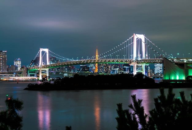 Stunning Tokyo Skyline Featuring Tokyo Tower and Rainbow Bridge – Free Download