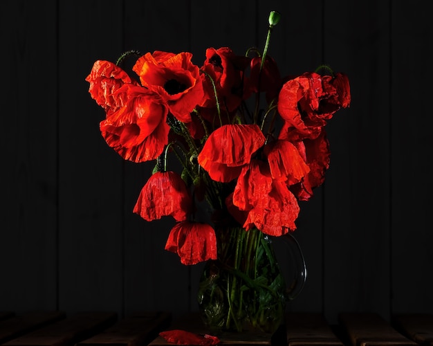 Blooming Poppies in a Glass Vase in the Dark â Free Download