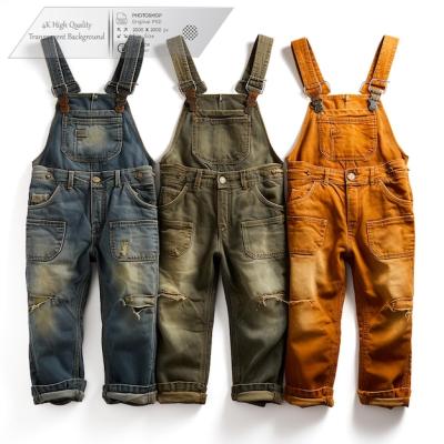 Dark Wash Denim Overalls with Distressed Detailing – Free Download