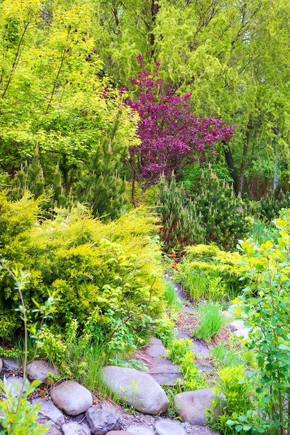 Stone Footpath Surrounded by Vibrant Spring Plants – Download Free Stock Photo