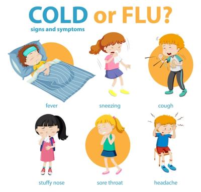 Cold or Flu Symptoms Medical Infographic – Free Download