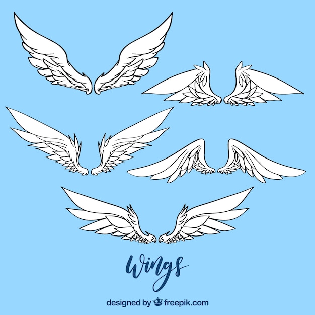 Hand-Drawn Wings Vector Template for Free Download