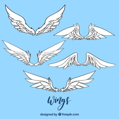 Hand-Drawn Wings Vector Template for Free Download