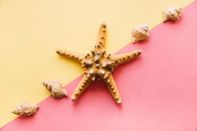 Summer Background with Starfish – Free to Download