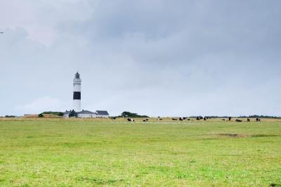 Scenic View of Grassy Field Against Cloudy Sky – Free Stock Photo, Download for Free