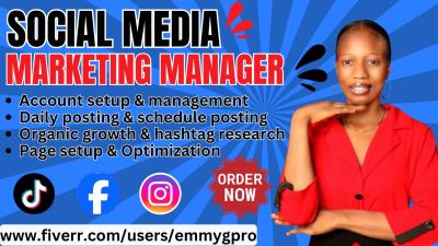 I Will Be Your Social Media Manager for Instagram Posts, TikTok Shop, and Facebook Ads Marketing