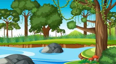 Serene Nature Scene Featuring a Flowing Stream in the Forest – Free Download