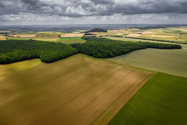 Stunning Green Landscape with Plantations and Trees Beneath a Cloudy Sky – Free Download