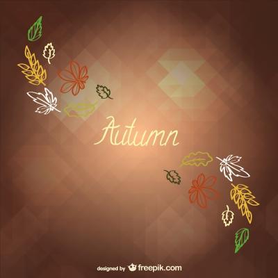 Autumn Minimalist Background – Free Download Stock Photo