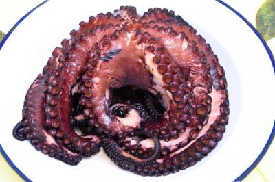 Cooked Octopus Pulpo a Feira: Authentic Galician Dish – Free to Download