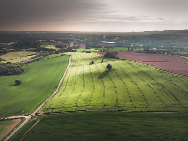 Aerial View of a Beautiful Green Field Surrounded by Trees Under a Gray Sky – Free Download