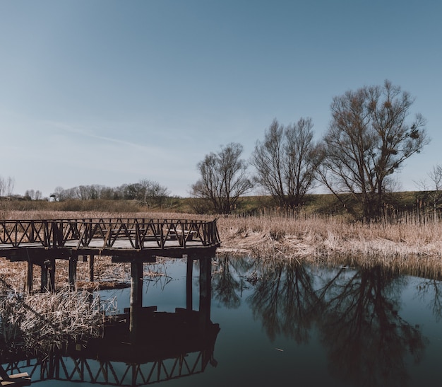 Wooden Dock by the Lake Reflecting Surrounding Trees – Free Download