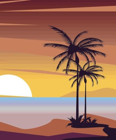 Sunrise Seascape with Palm Trees – Free Stock Photo, Download Free