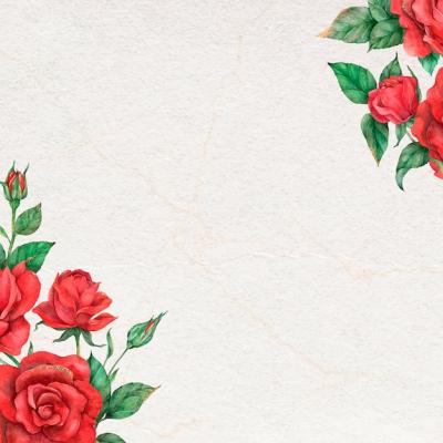 Rose Border Frame – Download Free Stock Photo