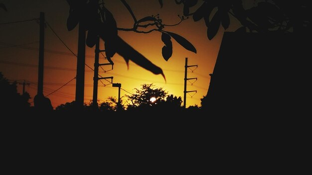 Silhouette Trees Against Sky at Sunset – Free Stock Photo for Download