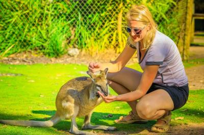 Woman Crouching Next to Kangaroo – Free Stock Photo for Download