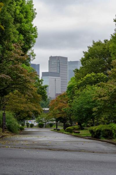 Road Surrounded by Trees and Buildings Against the Sky – Free Download