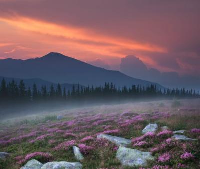 Scenic Field and Mountain Sunset – Free Stock Photo for Download