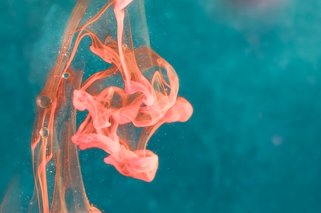 Swimming Sea Jellies Underwater – Free Stock Photo, Download Free