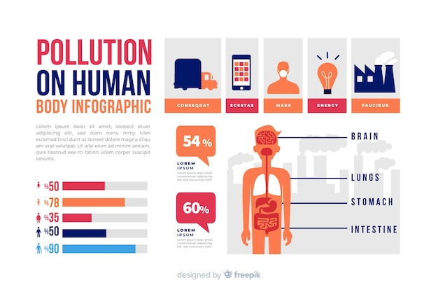 Pollution Effects on the Human Body Infographic – Free Download