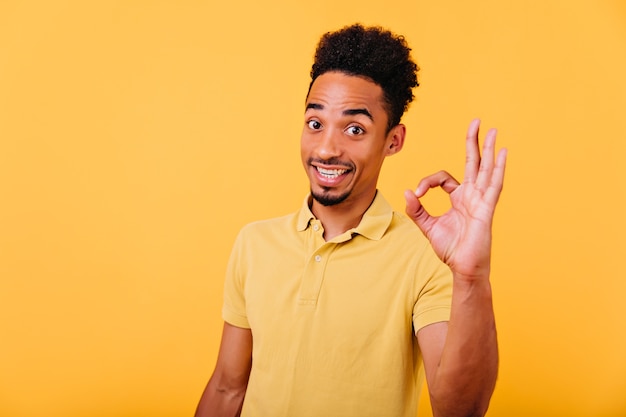 African Model with Trendy Haircut Posing Indoors – Free Stock Photo for Download