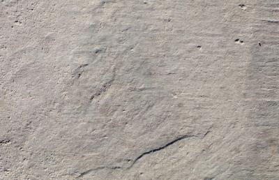 Soft Concrete Texture – Download Free Stock Photo