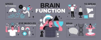 Brain Functions Infographics for Free Download