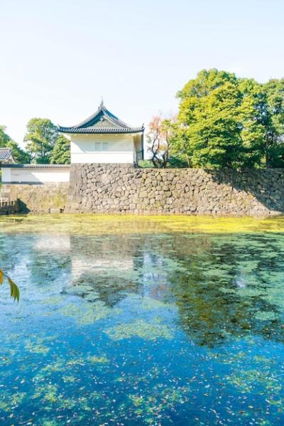 Beautiful Imperial Palace Building in Tokyo – Free Download