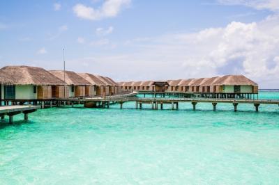 Long Empty Jetty in the Maldives Surrounded by Coral Reefs – Free to Download