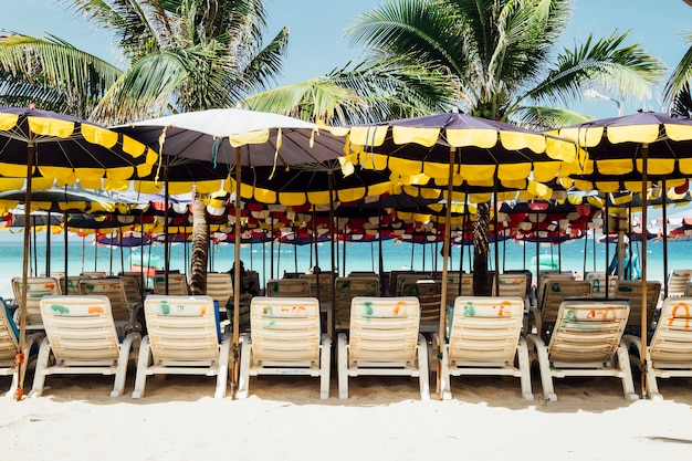 Deckchair on Beach – Free Download Stock Photo