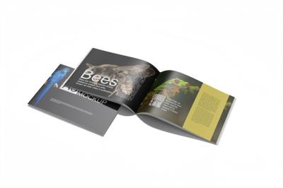 A5 Landscape Brochure Mockup – Free Download