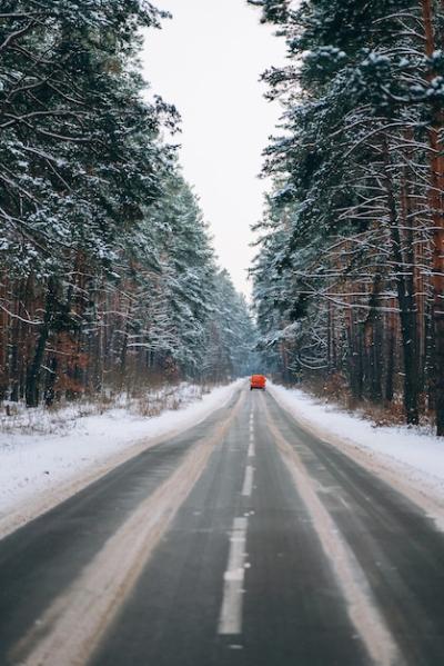 Moving Car on a Snowy Forest Road – Free Download