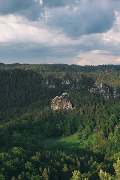 Rocky Cliff Surrounded by Lush Green Forest in Saxon, Switzerland – Free Download